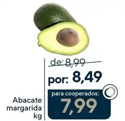 Coop Abacate margarida oferta