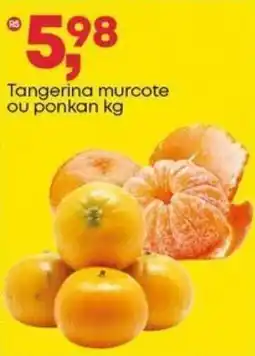 Frangolândia Tangerina murcote ou ponkan oferta