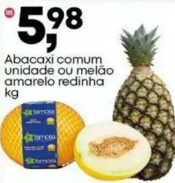 Frangolândia Abacaxi comum unidade ou melão amarelo redinha oferta