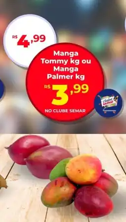 Semar Supermercado Manga Tommy ou Manga Palmer oferta