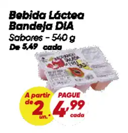 Dia Bebida Láctea Bandeja DIA Sabores oferta