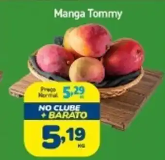 Rede Bom Lugar Manga Tommy oferta