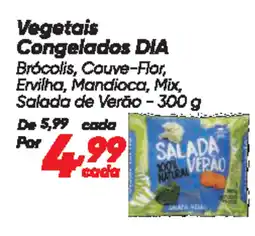 Vegetais Congelados DIA