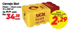 Dia Cerveja Skol oferta