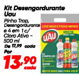 Dia Kit Desengordurante Uau oferta