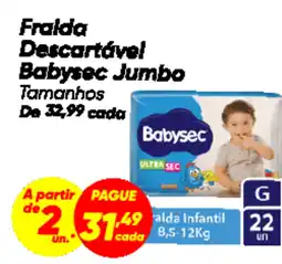 Dia Fraida Descartável Babysec Jumbo Tamanhos oferta