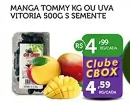 CenterBox Manga tommy ou uva vitoria s semente oferta
