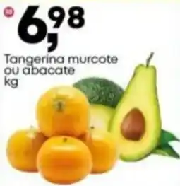 Frangolândia Tangerina murcote Ou abacate oferta
