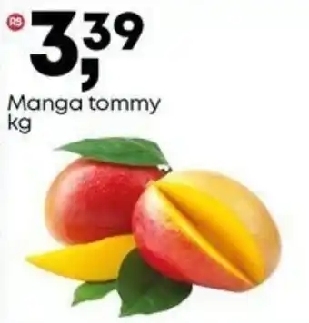 Frangolândia Manga tommy oferta