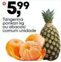 Frangolândia Tangerina ponkan kg ou abacaxi comum unidade oferta