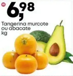 Frangolândia Tangerina murcote ou abacate oferta