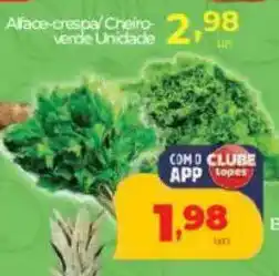 Alface-crespa Cheiro verde Unidade