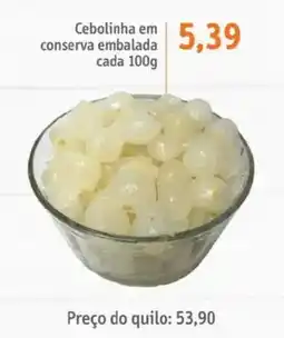 Sonda Cebolinha em conserva embalada cada oferta
