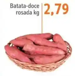 Sonda Batata-doce rosada oferta