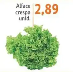 Sonda Alface crespa unid. oferta