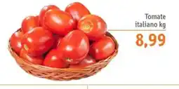 Sonda Tomate italiano oferta