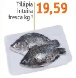 Sonda Tilapia inteira fresca oferta