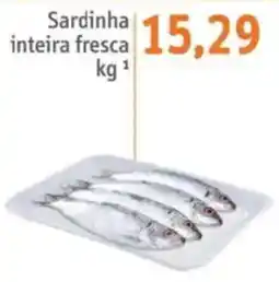 Sonda Sardinha inteira fresca oferta