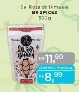 Supermercados Mundial Sal Rosa do Himalaia BR SPICES oferta