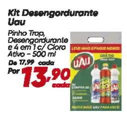 Dia Kit Desengordurante Uau oferta