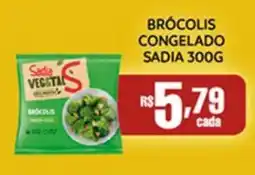Empório Bahamas Brocolis congelado sadia oferta