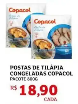 Assaí Atacadista Postas de tilápia congeladas copacol pacote oferta