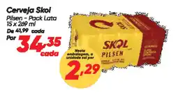 Dia Cerveja Skol oferta
