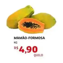 Assaí Atacadista Mamão-formosa oferta