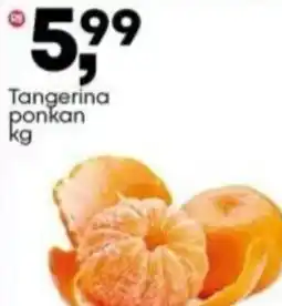 Frangolândia Tangerina ponkan oferta