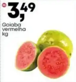 Frangolândia Goiaba vermelha oferta