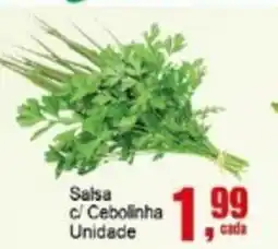 Negreiros Salsa c/ Cebolinha Unidade oferta