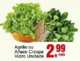 Negreiros Agrião ou Alface Crespa Hidro Unidade oferta