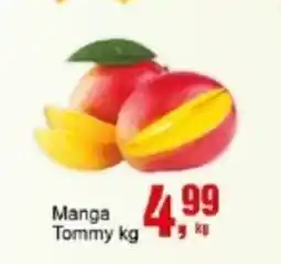 Negreiros Manga Tommy oferta