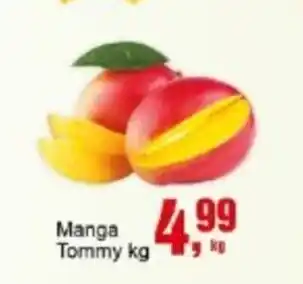 Negreiros Manga Tommy oferta