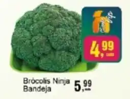 Negreiros Brócolis Ninja Bandeja oferta
