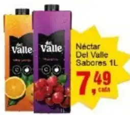 Negreiros Nectar Del Valle Sabores oferta