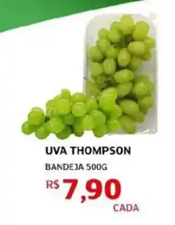Assaí Atacadista Uva thompson bandeja oferta
