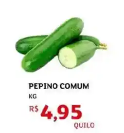 Assaí Atacadista Pepino comum oferta