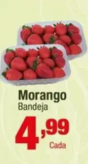 Santo Supermercados Morango Bandeja oferta