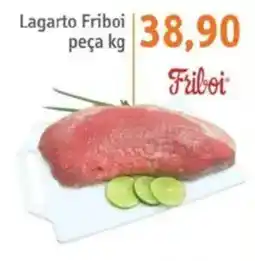 Sonda Lagarto Friboi peça oferta
