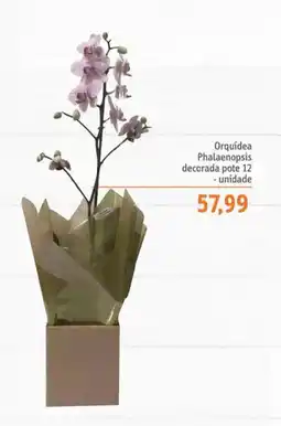 Sonda Orquídea Phalaenopsis decorada pote 12 - unidade oferta