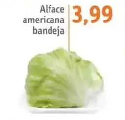 Sonda Alface americana bandeja oferta