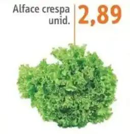 Sonda Alface crespaAlface crespa 2,89 unid. unid. oferta