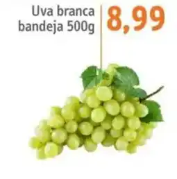 Sonda Uva branca bandeja oferta