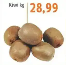 Sonda Kiwi oferta