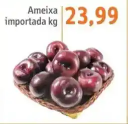Sonda Ameixa importada oferta
