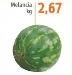 Sonda Melancia oferta