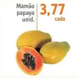 Sonda Mamão papaya unid oferta
