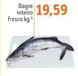 Sonda Bagre inteire fresco oferta