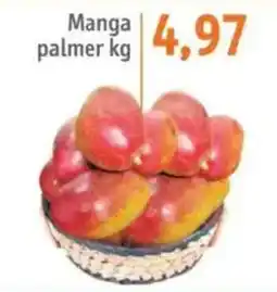 Sonda Manga palmer oferta